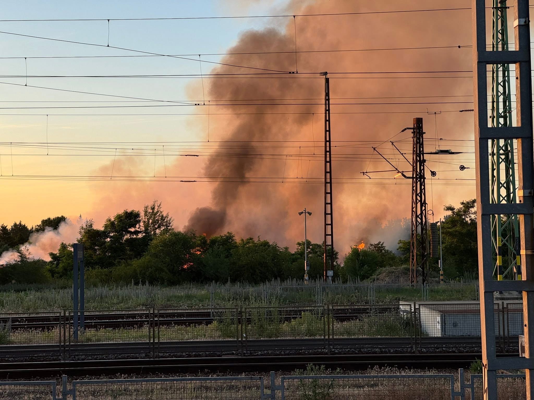 Tűz ütött ki egy püspökladányi zöldhulladék-lerakóban